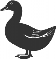 duck-02